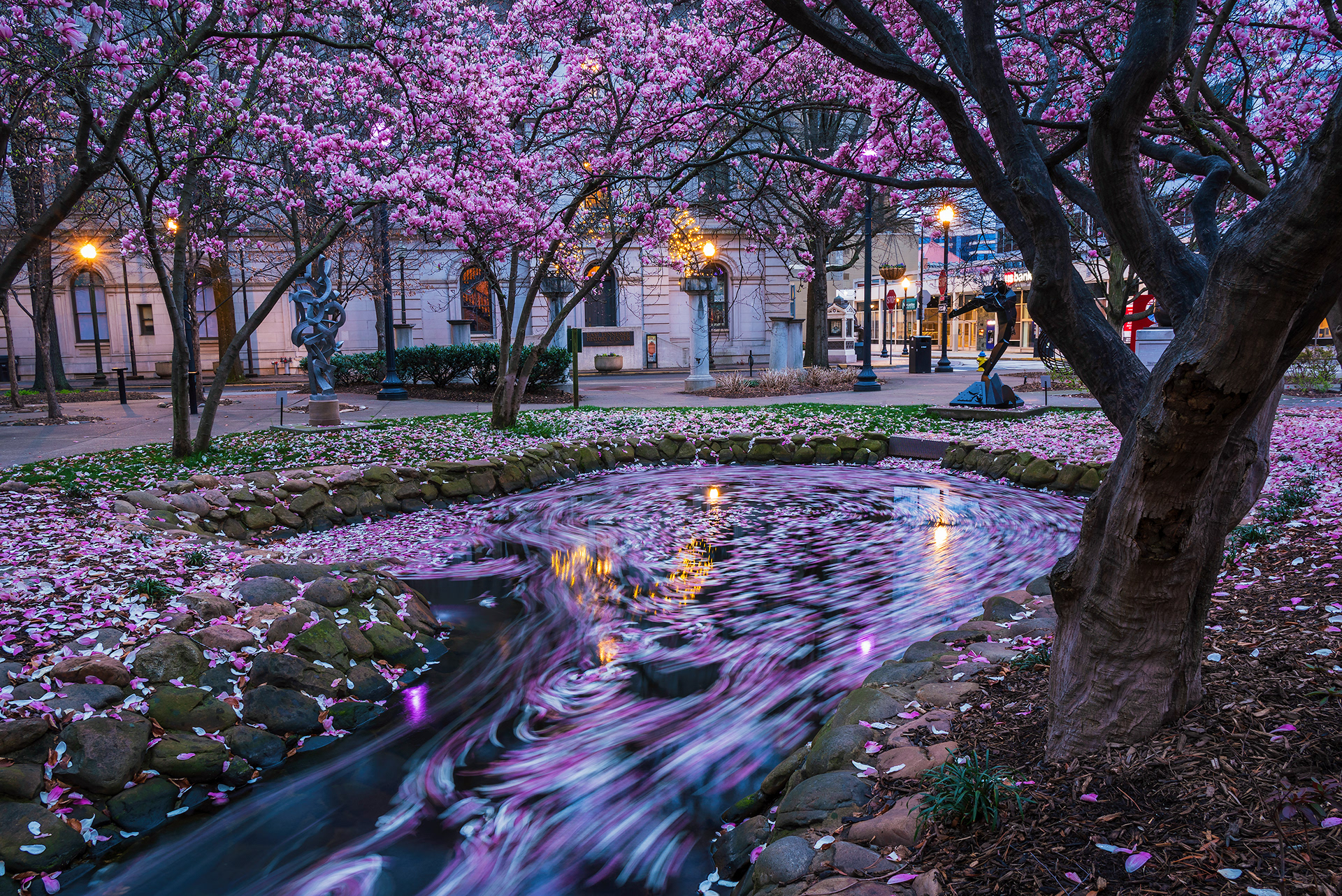 Knoxville, TN (USA).-88