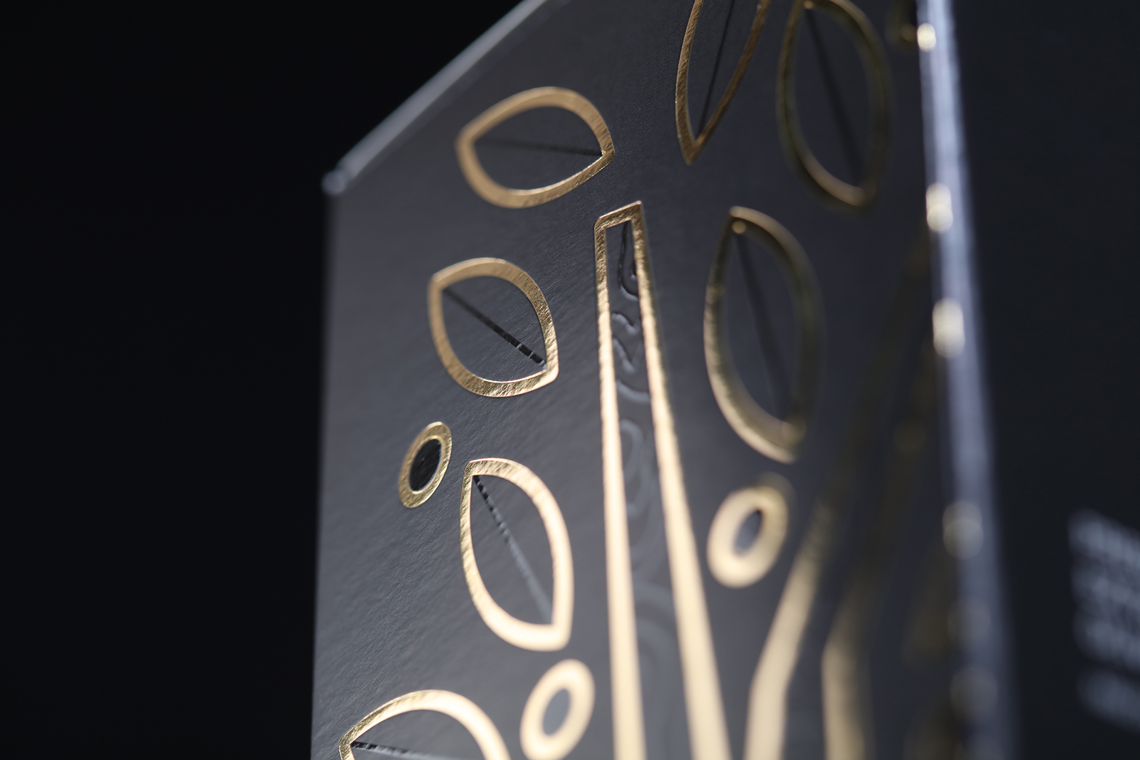 岩石山谷的橄榄传奇-18