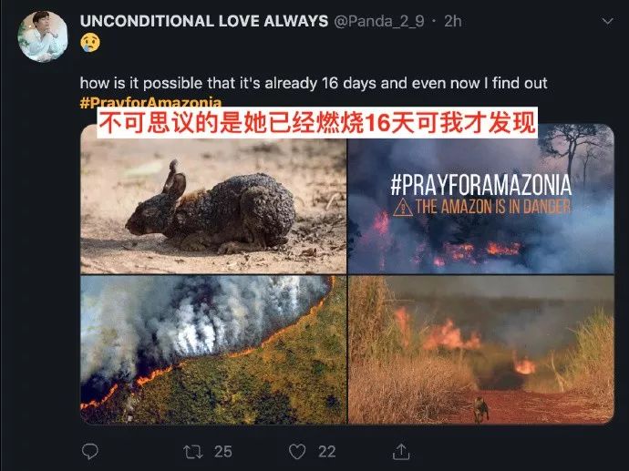 全球气候危机 | 亚马逊雨林火灾与生态破坏-82