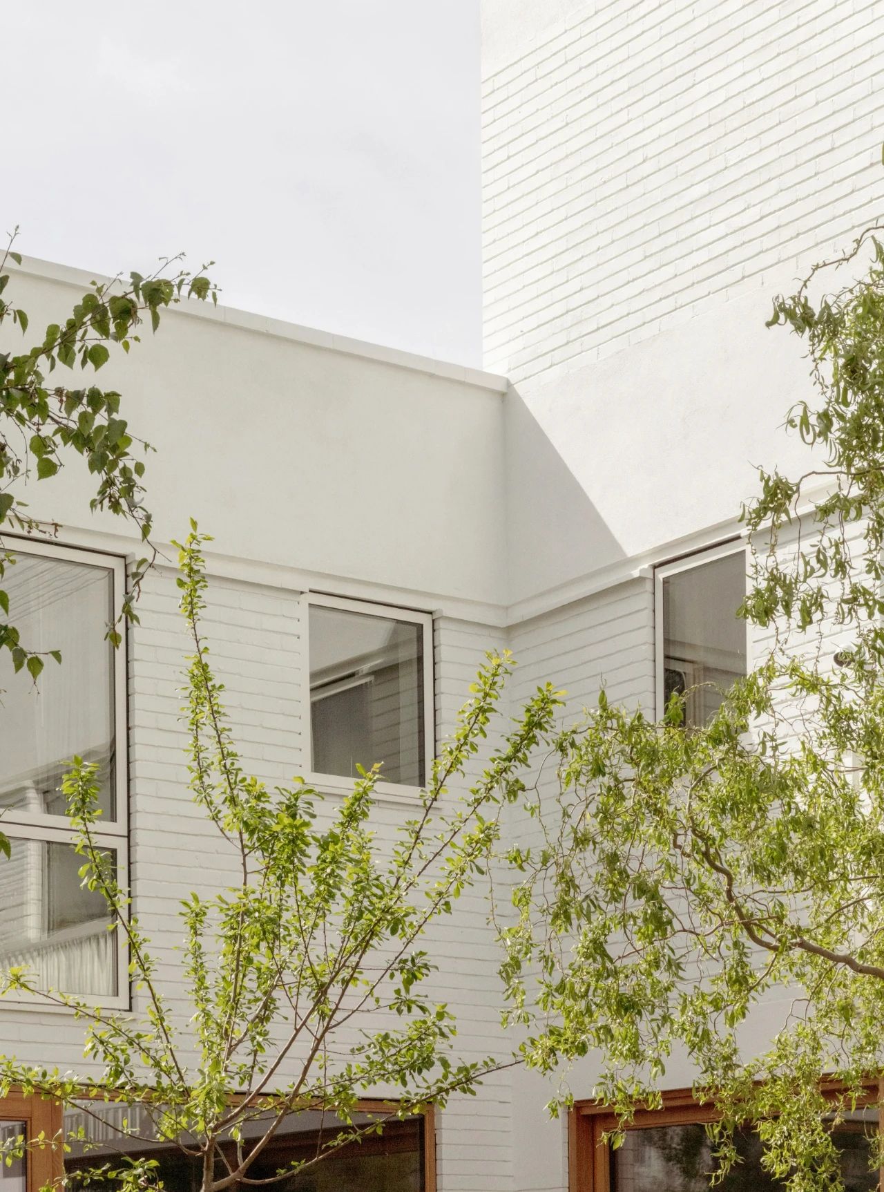 自然沉思,空间的原木风情丨英国伦敦丨Architecture for London-31