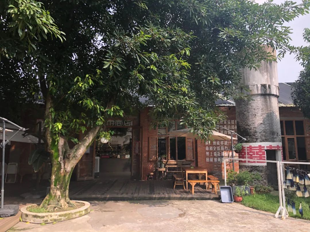 11 个陌生人同居 3 年,私生活首次曝光 | 看似佛系,实则野心勃勃-73