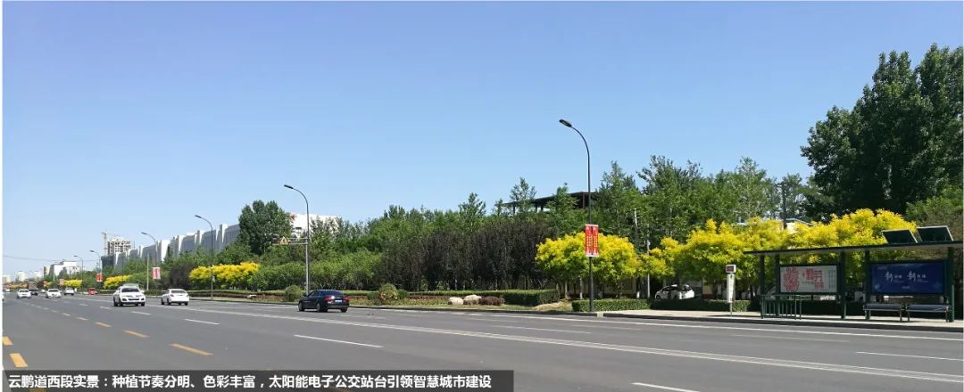 廊坊开发区道路景观综合改造提升设计项目丨中国廊坊丨北京市园林古建设计研究院·王显红工作室-34