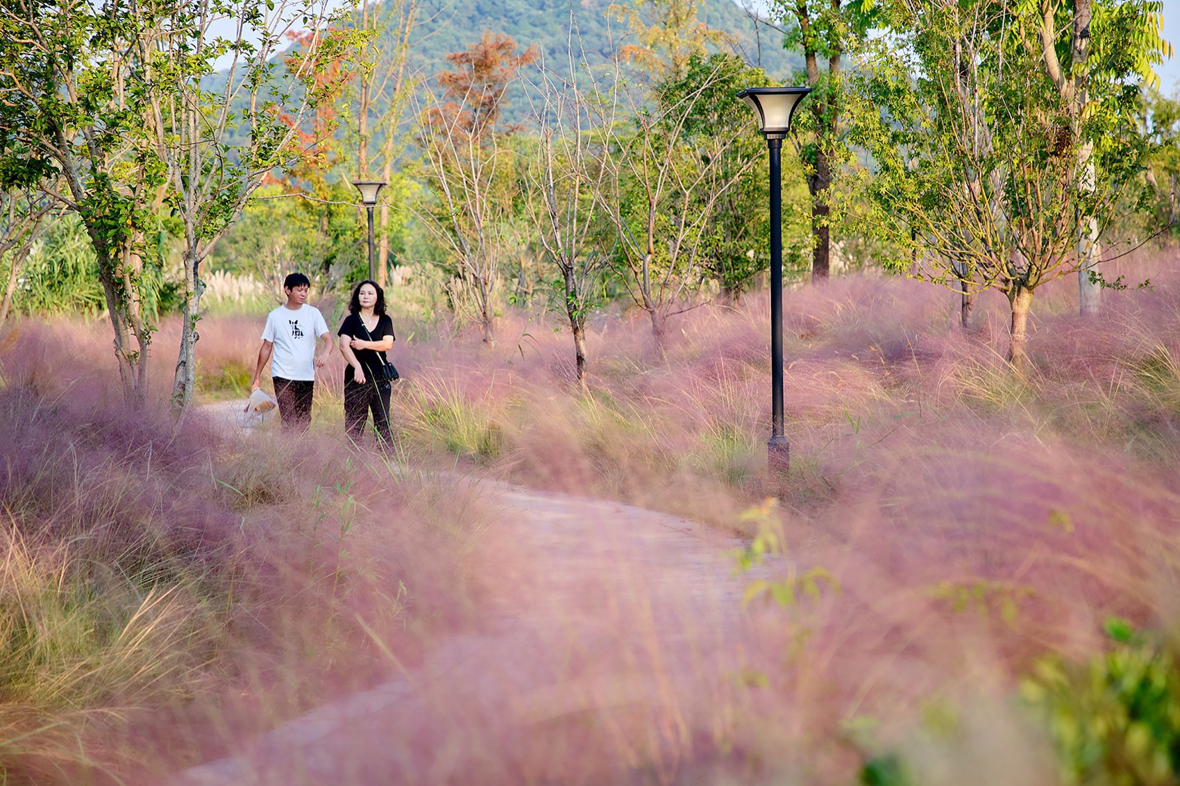铜鉴湖公园生态修复，杭州 / 中国电建集团华东勘测设计研究院有限公司-68