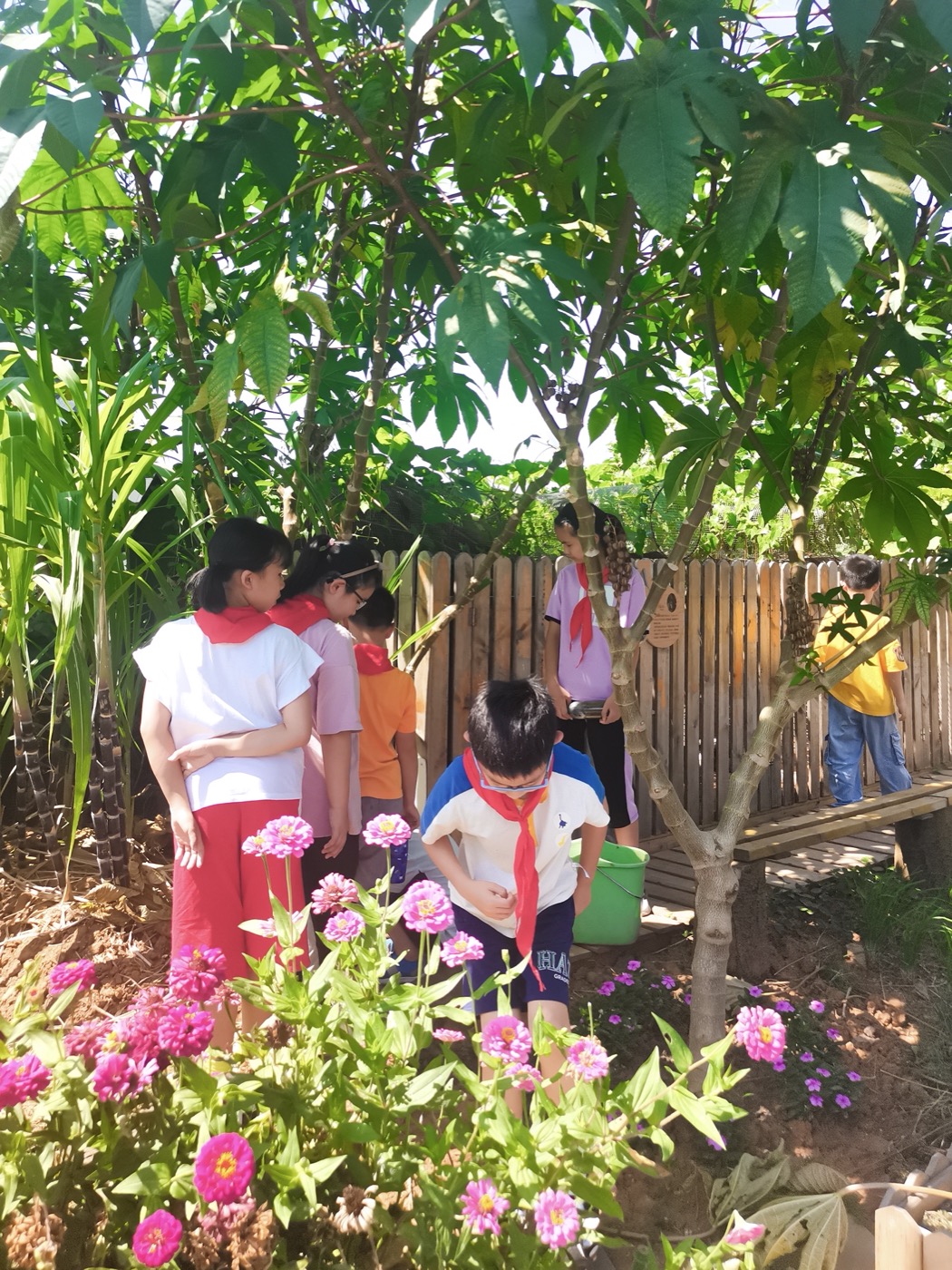 南京志远外语学校天空之园丨中国南京丨南京林业大学风景园林学院团队-19