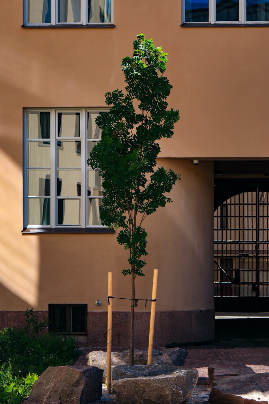 Scandic Grand Central Helsinki Courtyard | 绿色秘境酒店庭院设计-9