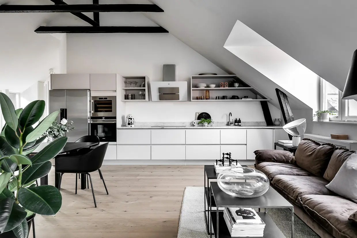 黑白极致 | 1907 年老建筑的 Scandinavian Loft 设计-1