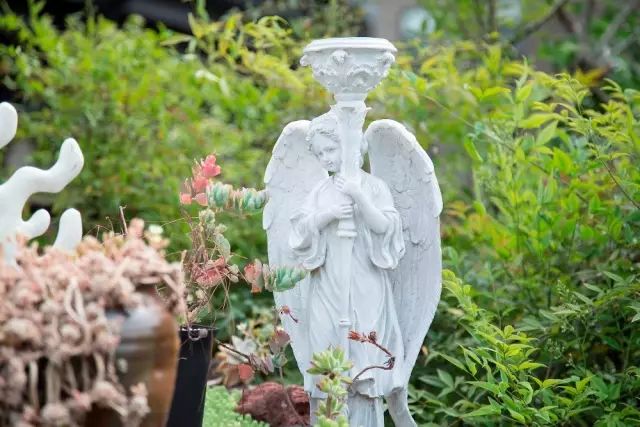 火遍魔都超700㎡网红花园，看过的人都被圈粉-153