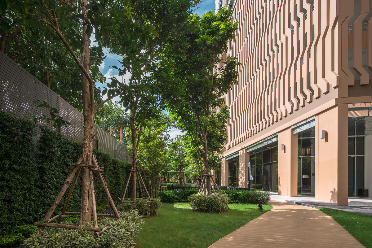 M 贾图贾克[景观]丨泰国丨SANITAS STUDIO-8