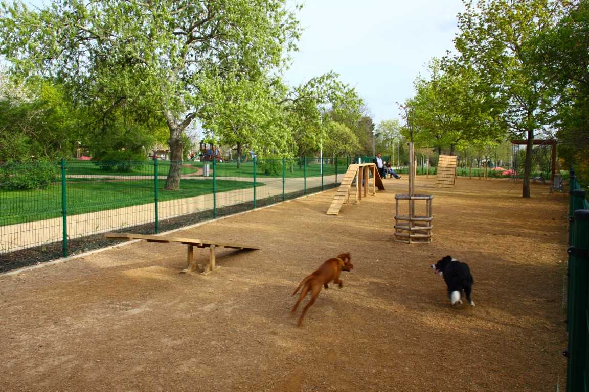 匈牙利 Hvslon 公园的创新设计-12