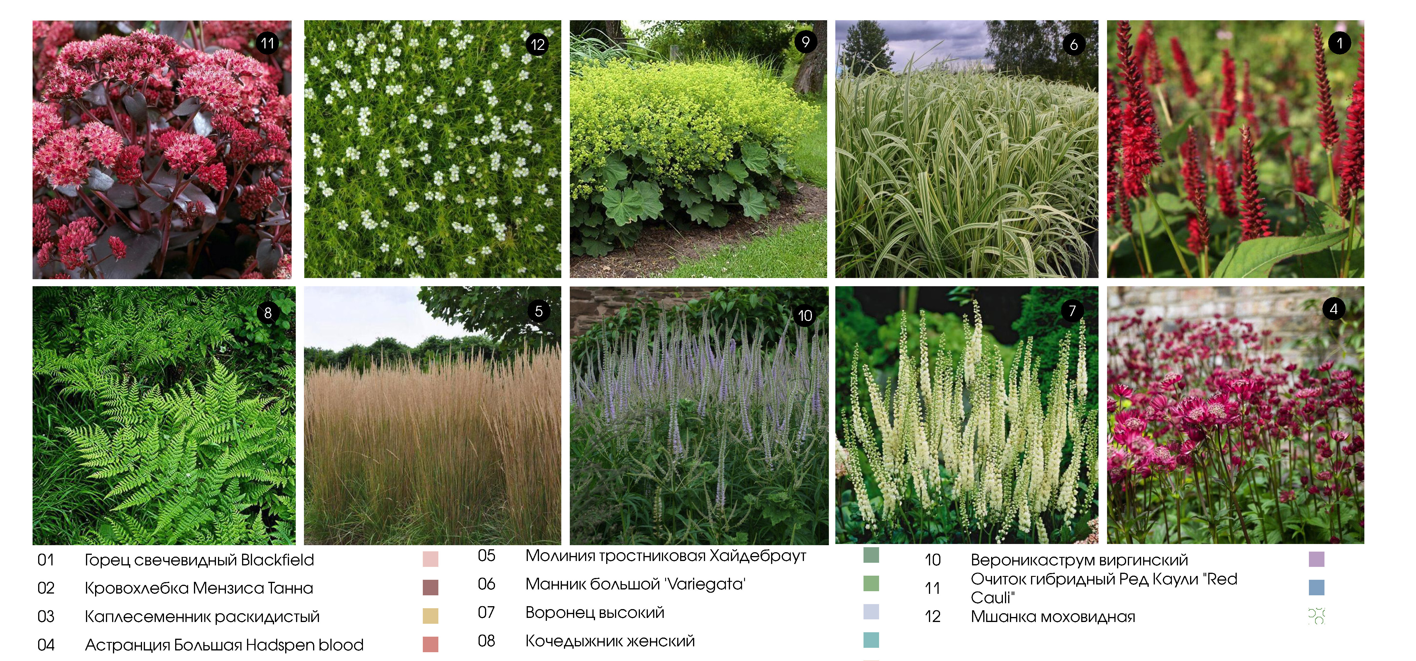 Tasty Coffee 生产设施设计丨俄罗斯伊热夫斯克丨LAMP 建筑工作室-19