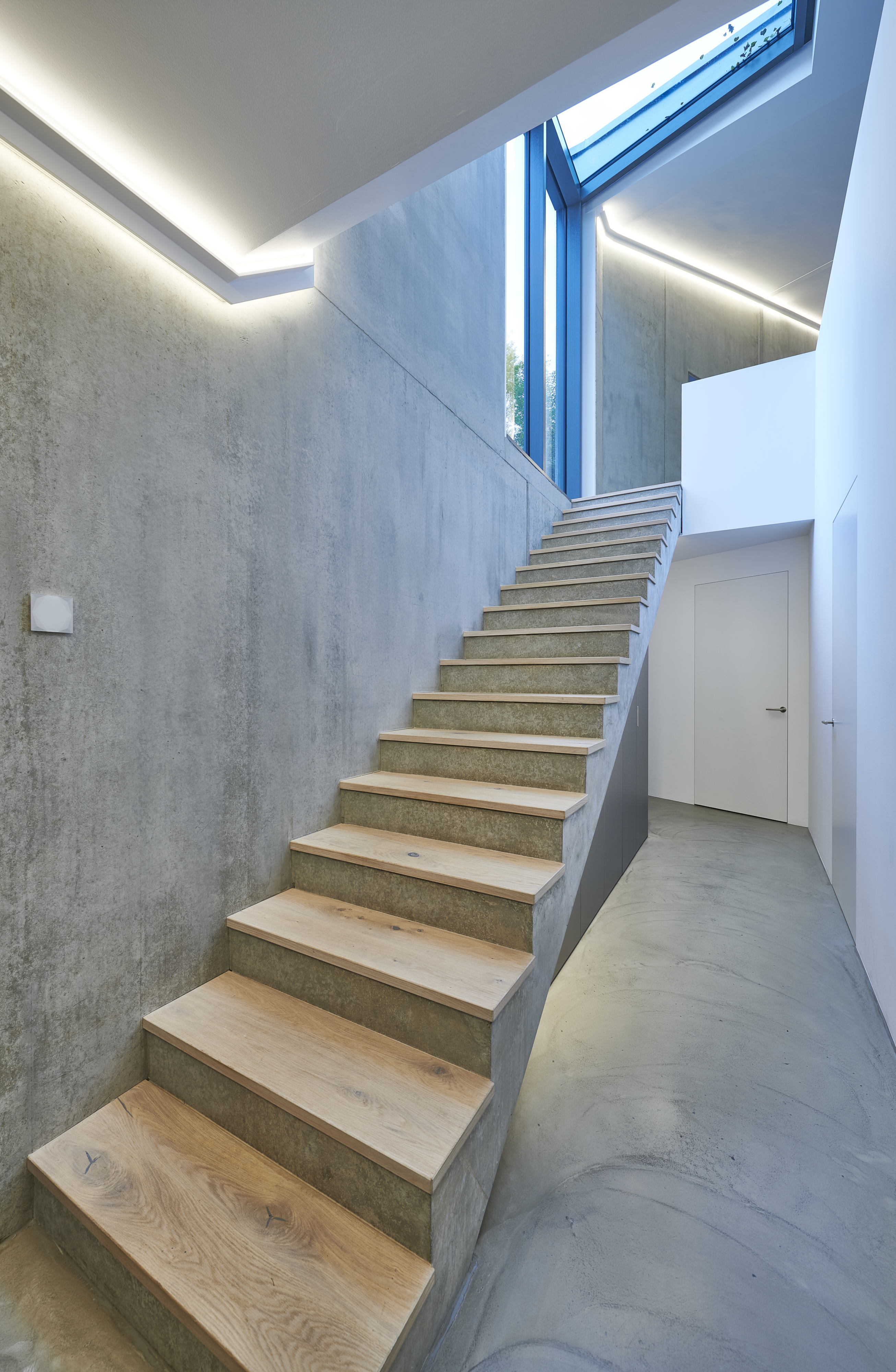 城堡山下的住宅与古橡树共生-13