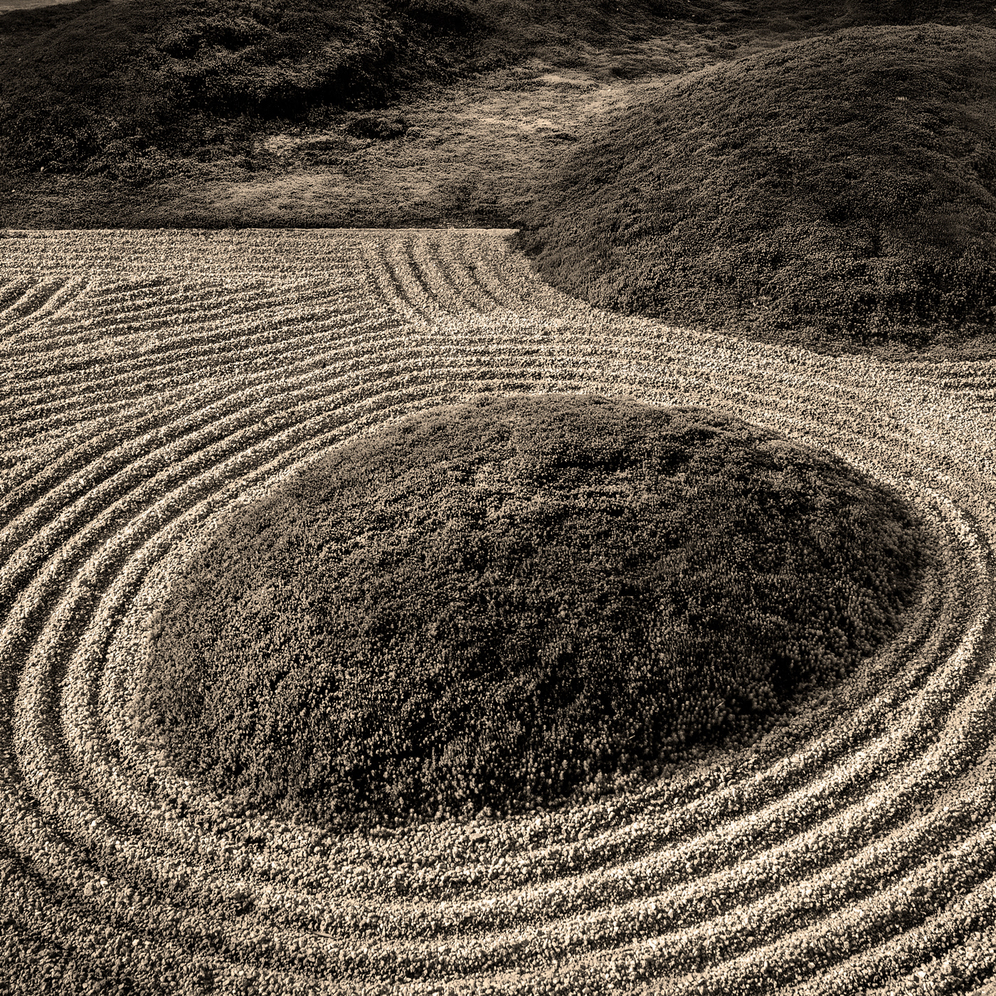 本保，日式庭园-7