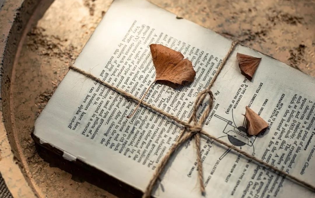 广州南沙佳兆业悦伴湾丨中国广州丨矩阵纵横-95