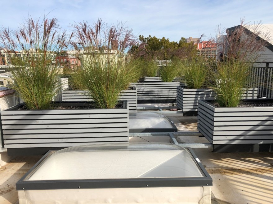 Jersey City Roof Garden-4