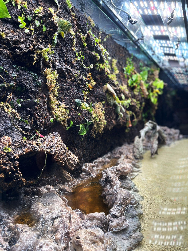 “Литораль”（“海岸带”）水族箱水陆箱丨俄罗斯丨Аква Лого Инжиниринг-36