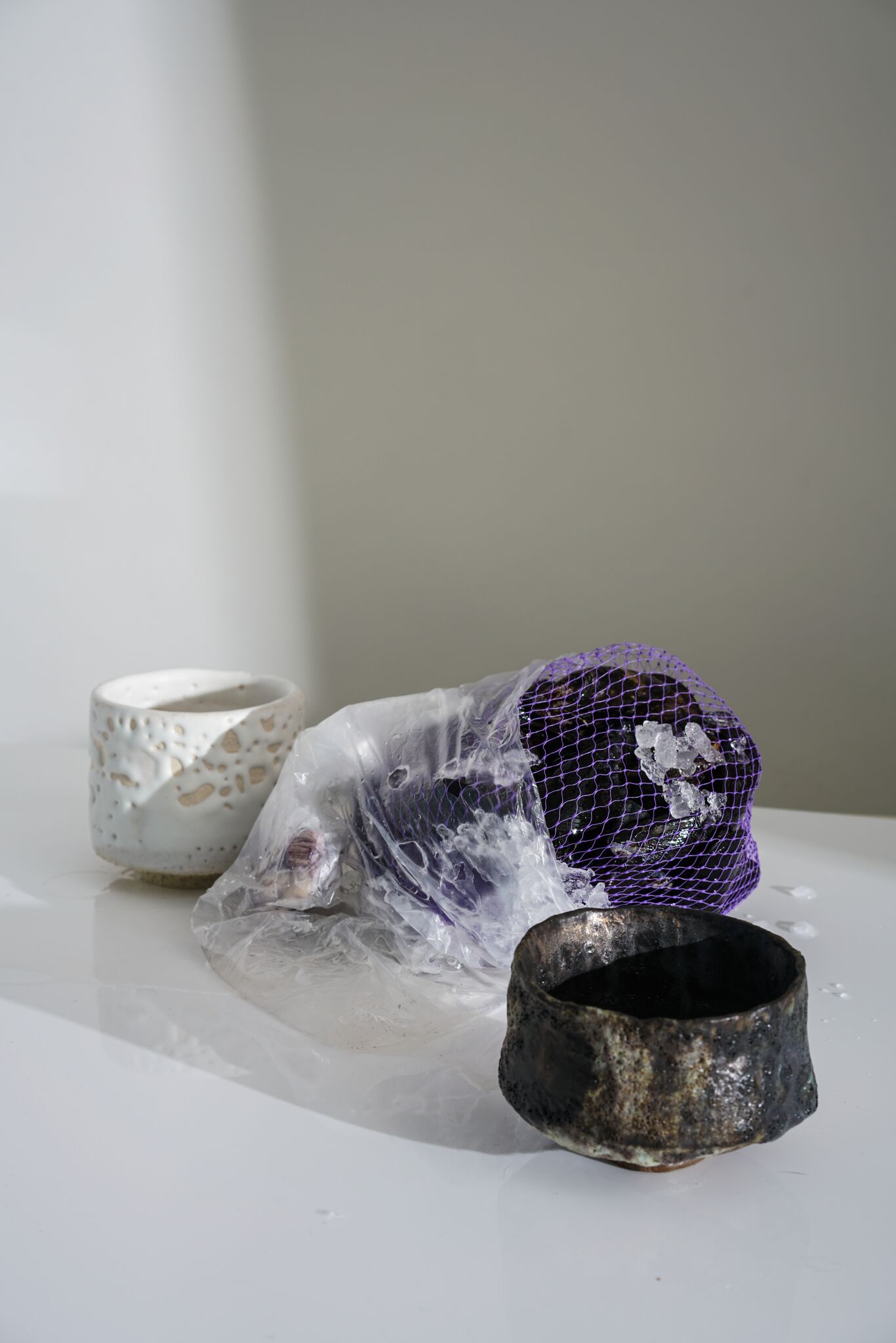 Returning to the Earth for Answers ⏤ In Interview With Alana Wilson and Romy Northover — anniversary magazine-4