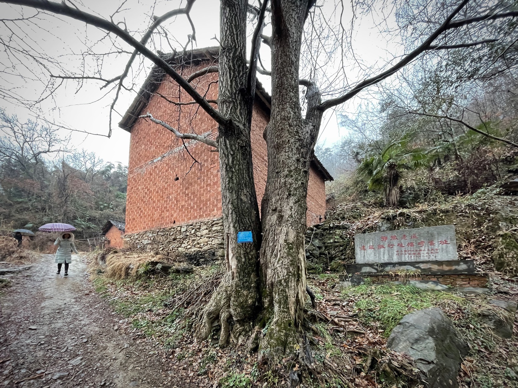 大乐之野·银杏谷丨中国洛阳丨上海末广建筑设计有限公司-18