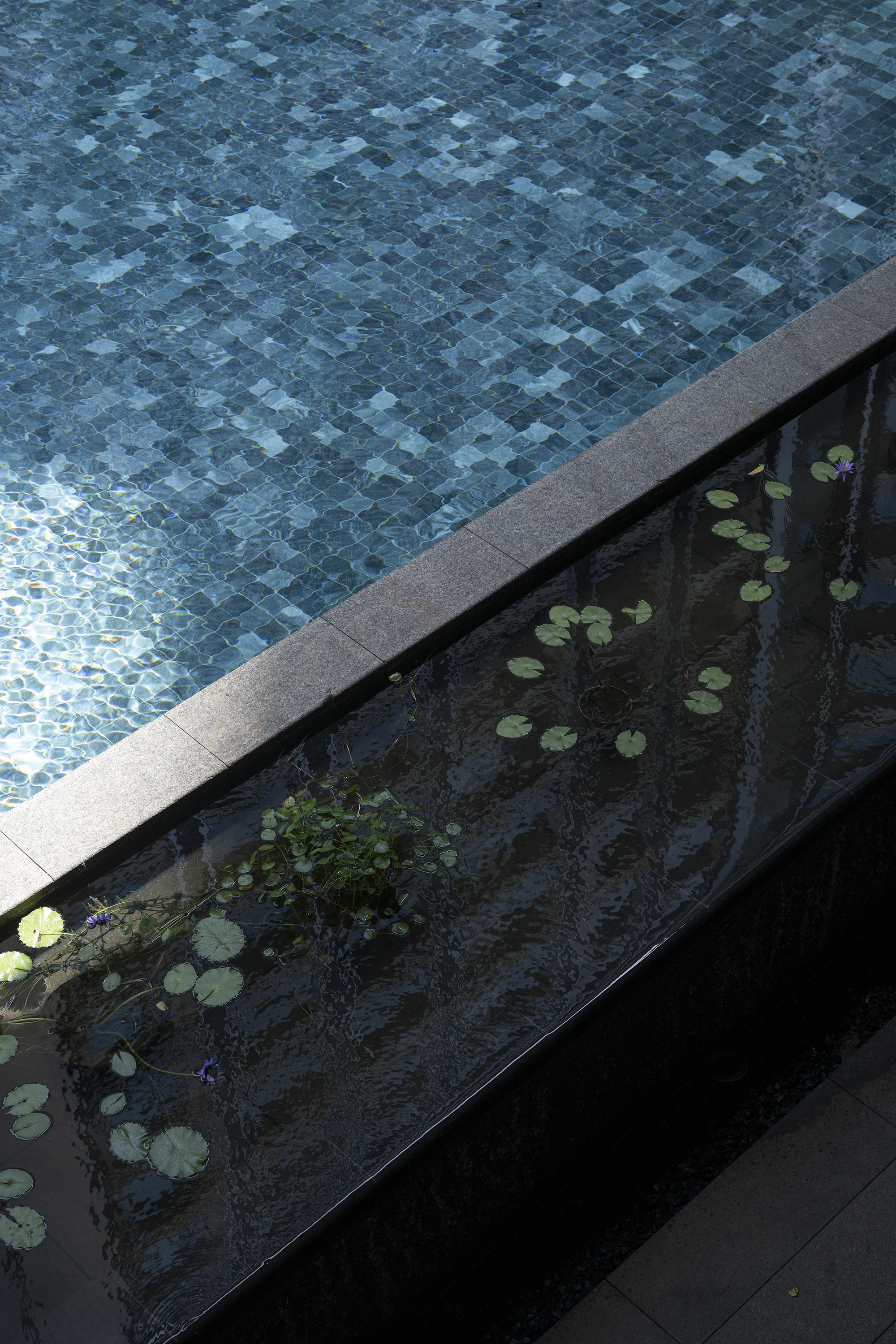 海口鸿园国际公寓（雅诗阁）丨中国海口丨蓝调国际（景观）,上海天华建筑设计有限公司（建筑）-69