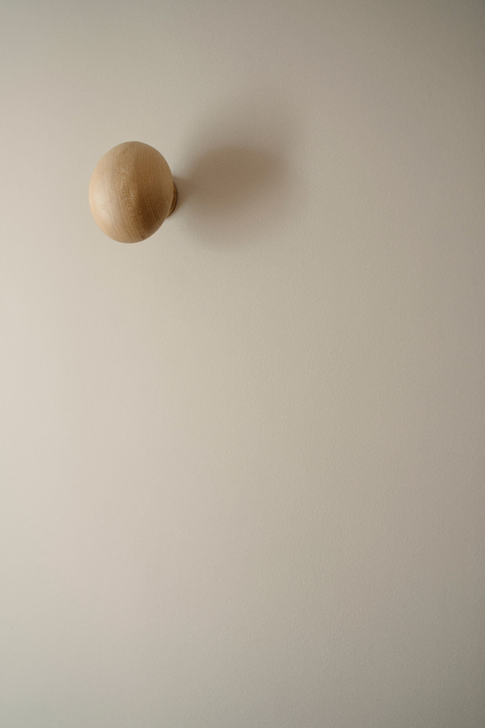 A Placid Place 住宅丨新加坡丨shed studio-21