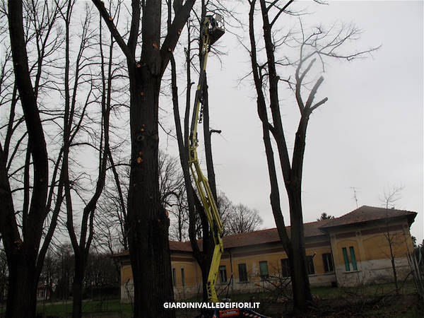 历史公园改造-8