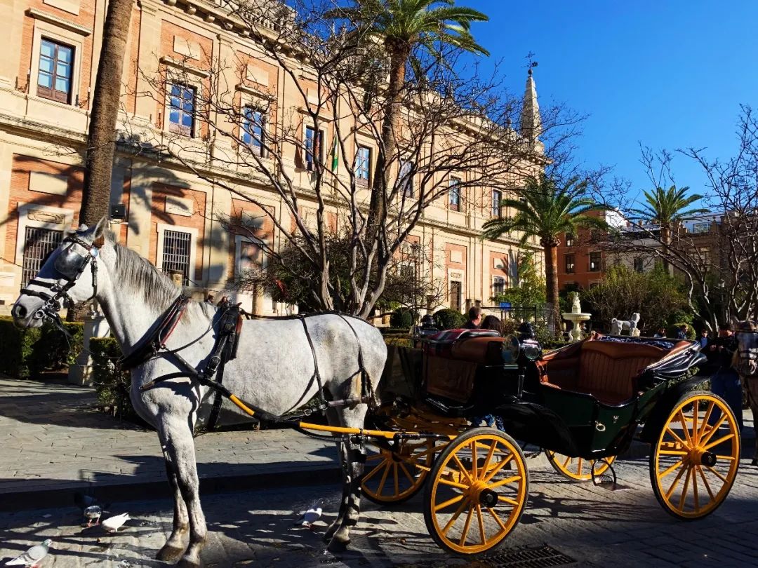 高迪的巴塞罗那幻梦 | 天才与疯狂的圣家堂、巴特罗之家、米拉之家-6