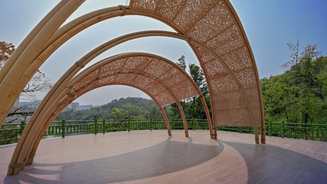 广宁竹海公园|构建绿美竹韵之路-49