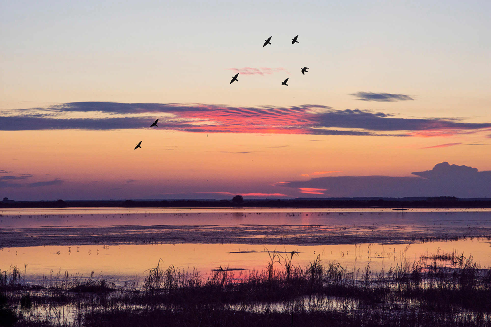 湖南益阳璞轩餐饮空间设计 | 融合山水竹茶文化的现代美学-13