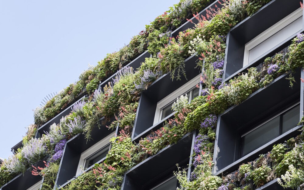 大食品杂货店 自由空间丨法国巴黎丨MPA Architecture和Espace Libre-13