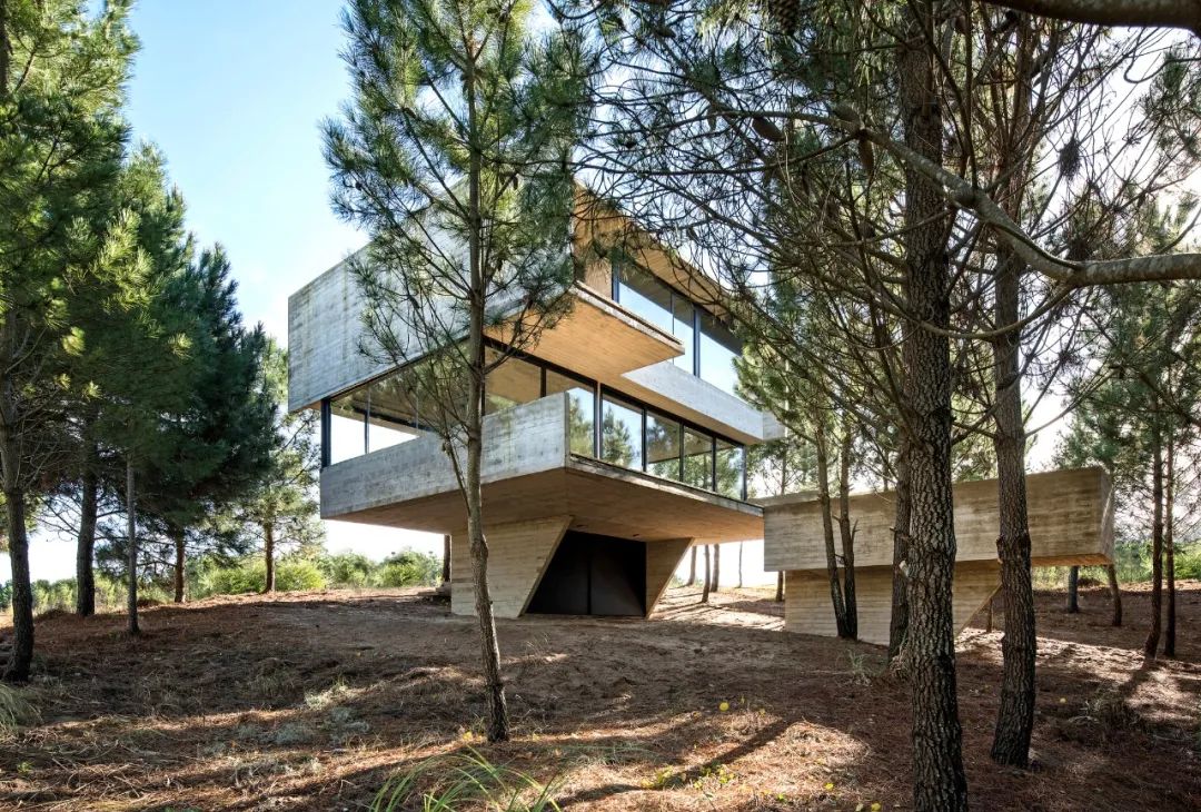 阿根廷自然纯粹清水混凝土住宅设计-90