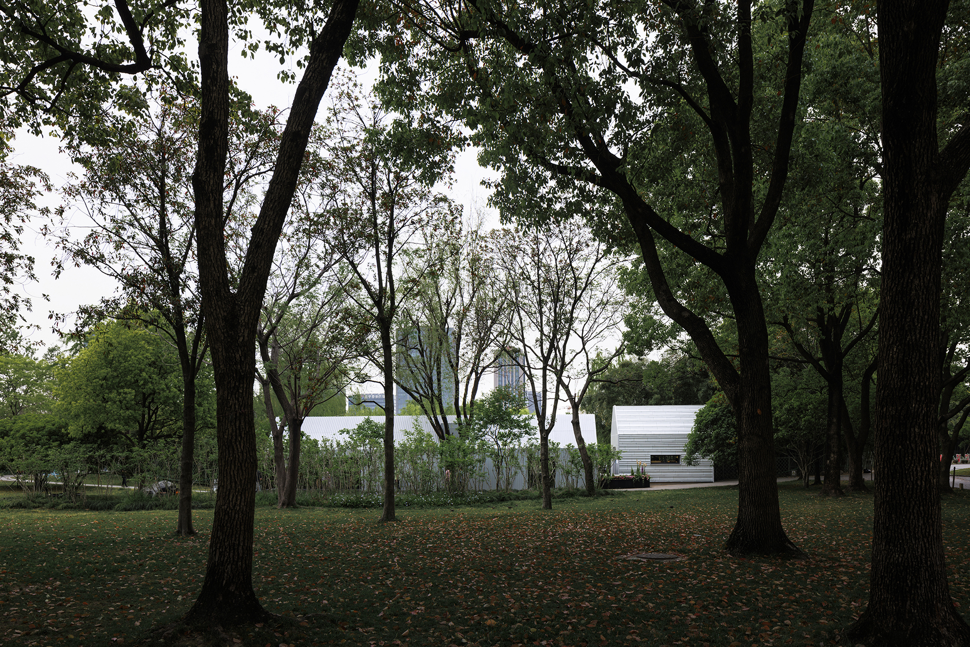 丨中国上海丨Wutopia Lab-41