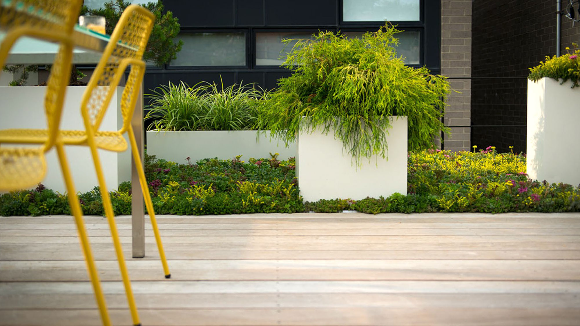 丨美国芝加哥-0