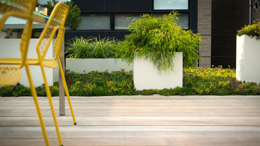 丨美国芝加哥-0