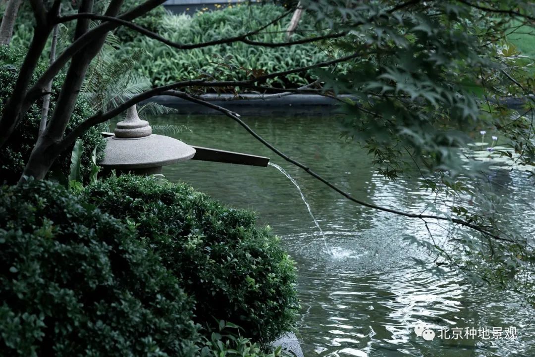 山外山外山外山 | 广州合景月养云来-66