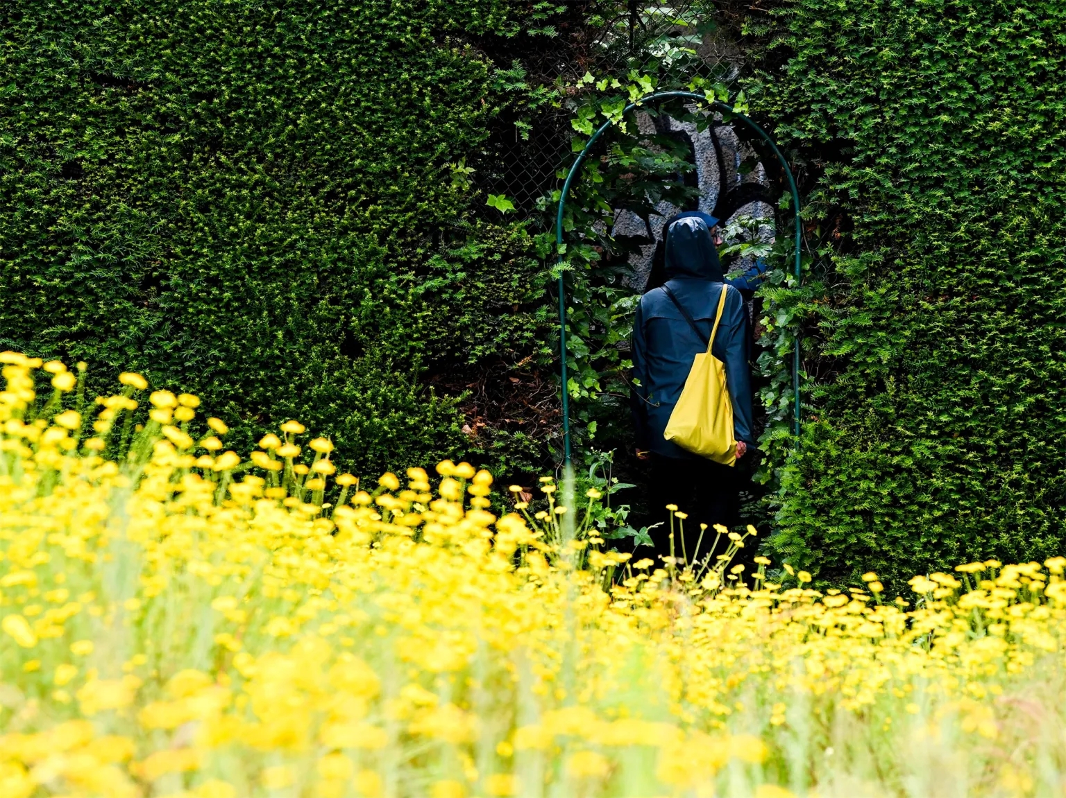 比利时裂缝景观-14