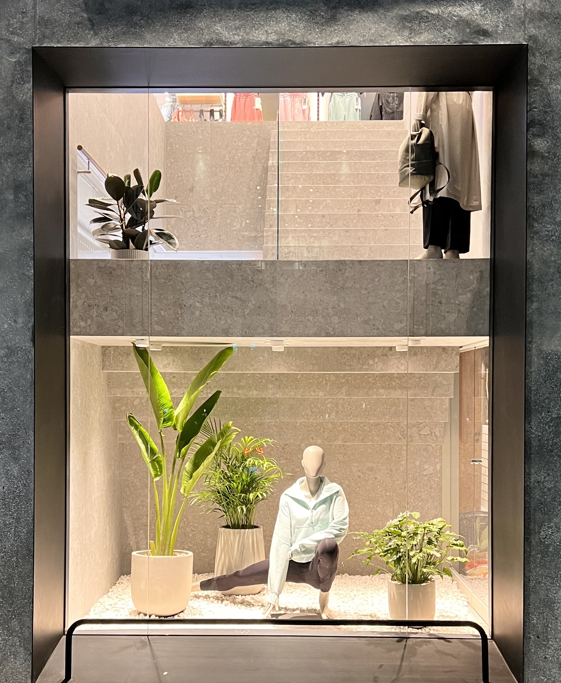 商業空間| lululemon忠孝復興｜植栽風格選配-0