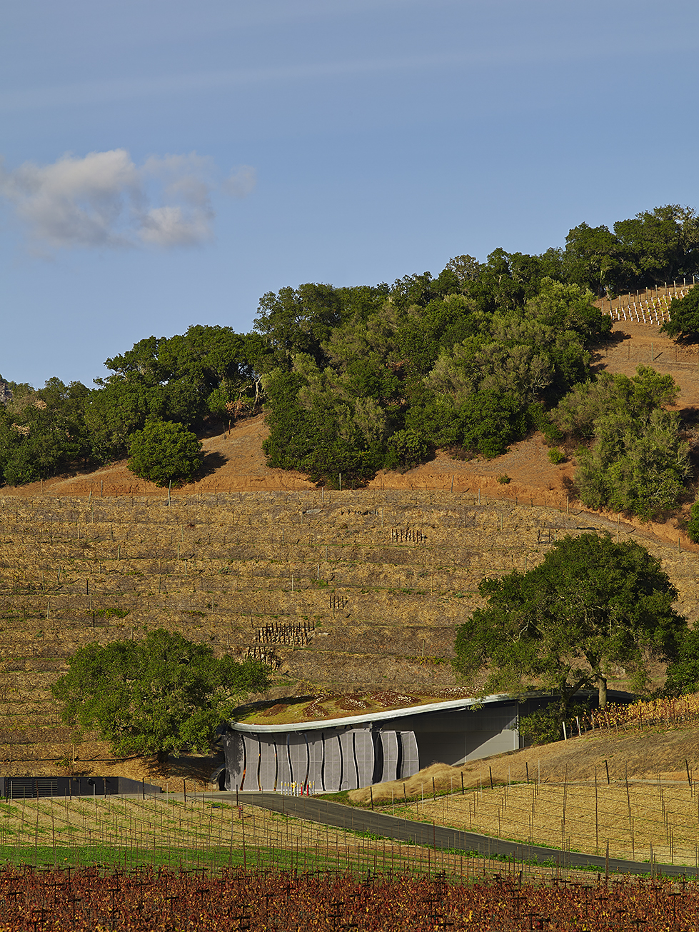 Odette Estate Winery | Signum Architecture-13