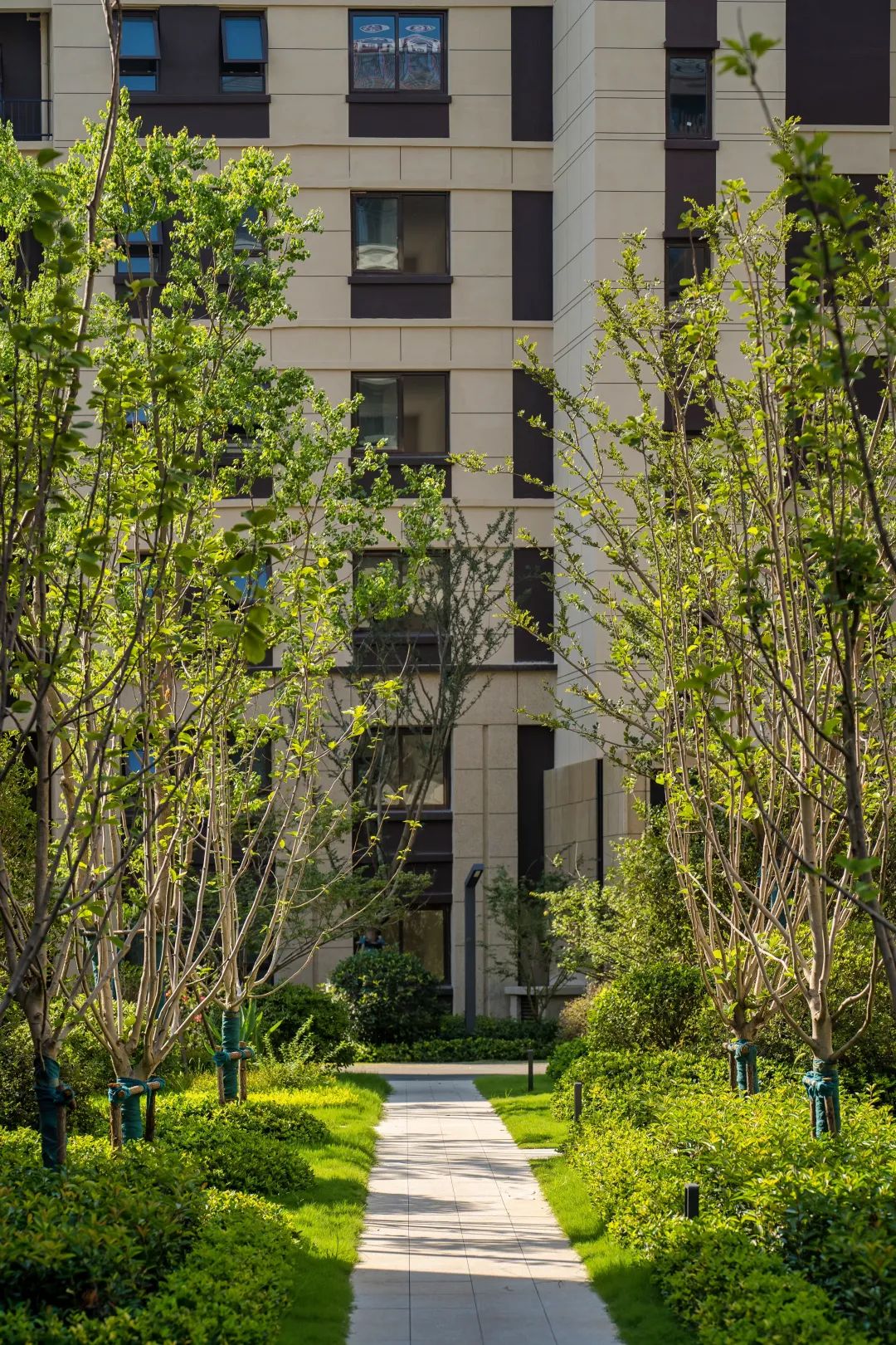 美好交付 | 镇江上悦诗苑，理想照进现实的新生活-28