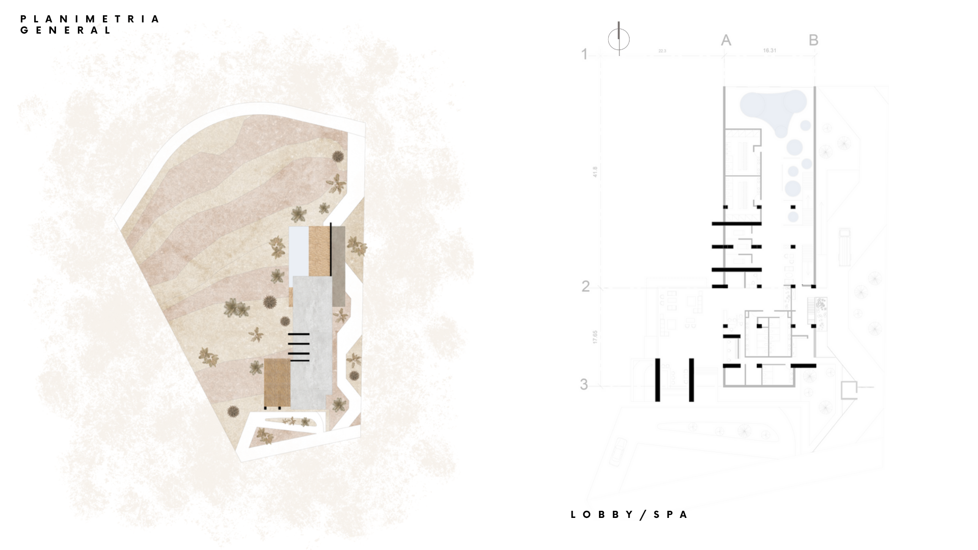 SANTUARIO MADERA SALADA-1