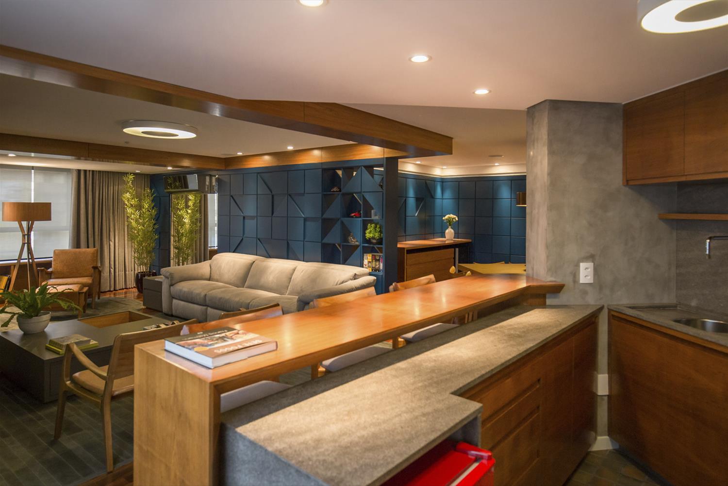 巴西 Minas 公寓-7