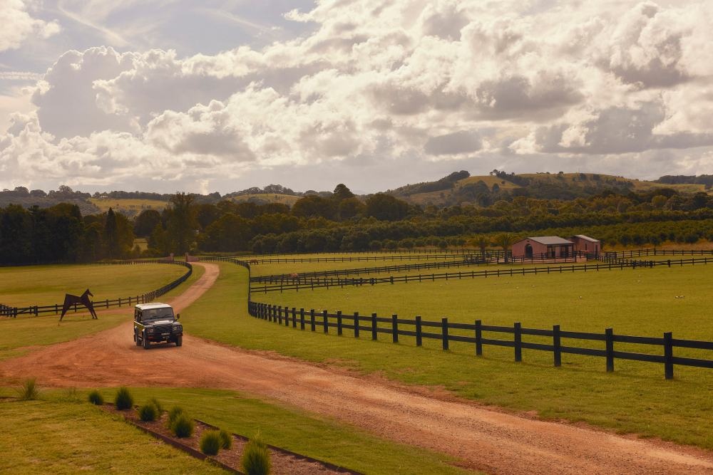 田园诗般的度假屋丨澳大利亚丨Story Design Collective-199