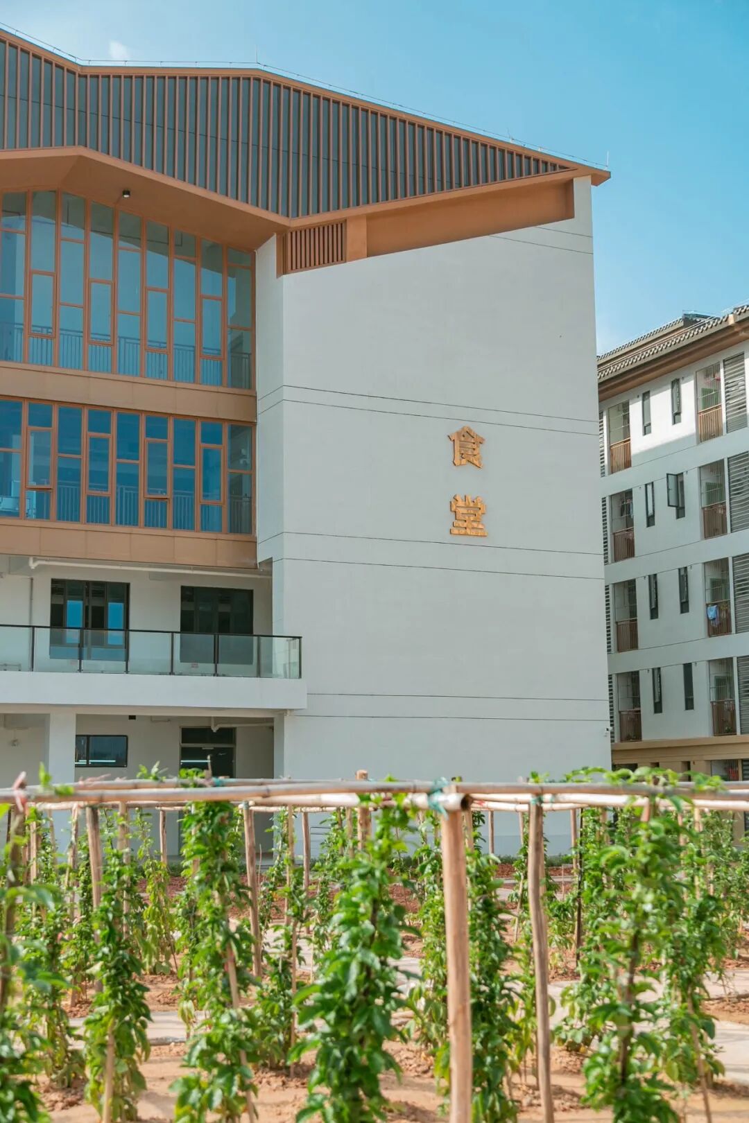 琢玉成器，润物无声｜北英实验学校：以玉为魂的校园景观新场景构建-99