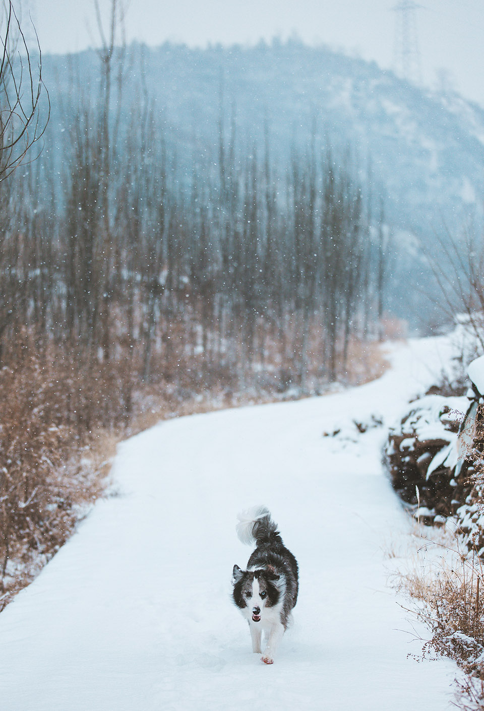 北京大隐于世净隐南山度假酒店-27
