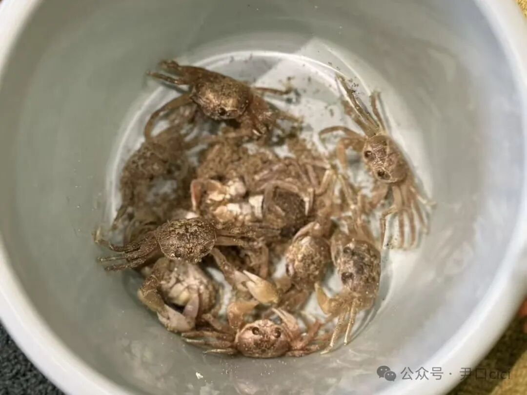 原舍岛屿系列｜躺平看海，把焦虑丢进太平洋。-36