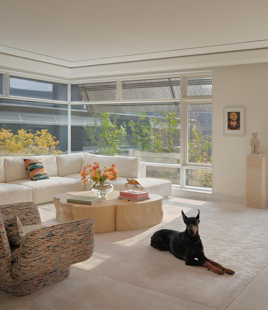 紫香舸 | 被阳光唤醒的午后，温柔且热烈-19