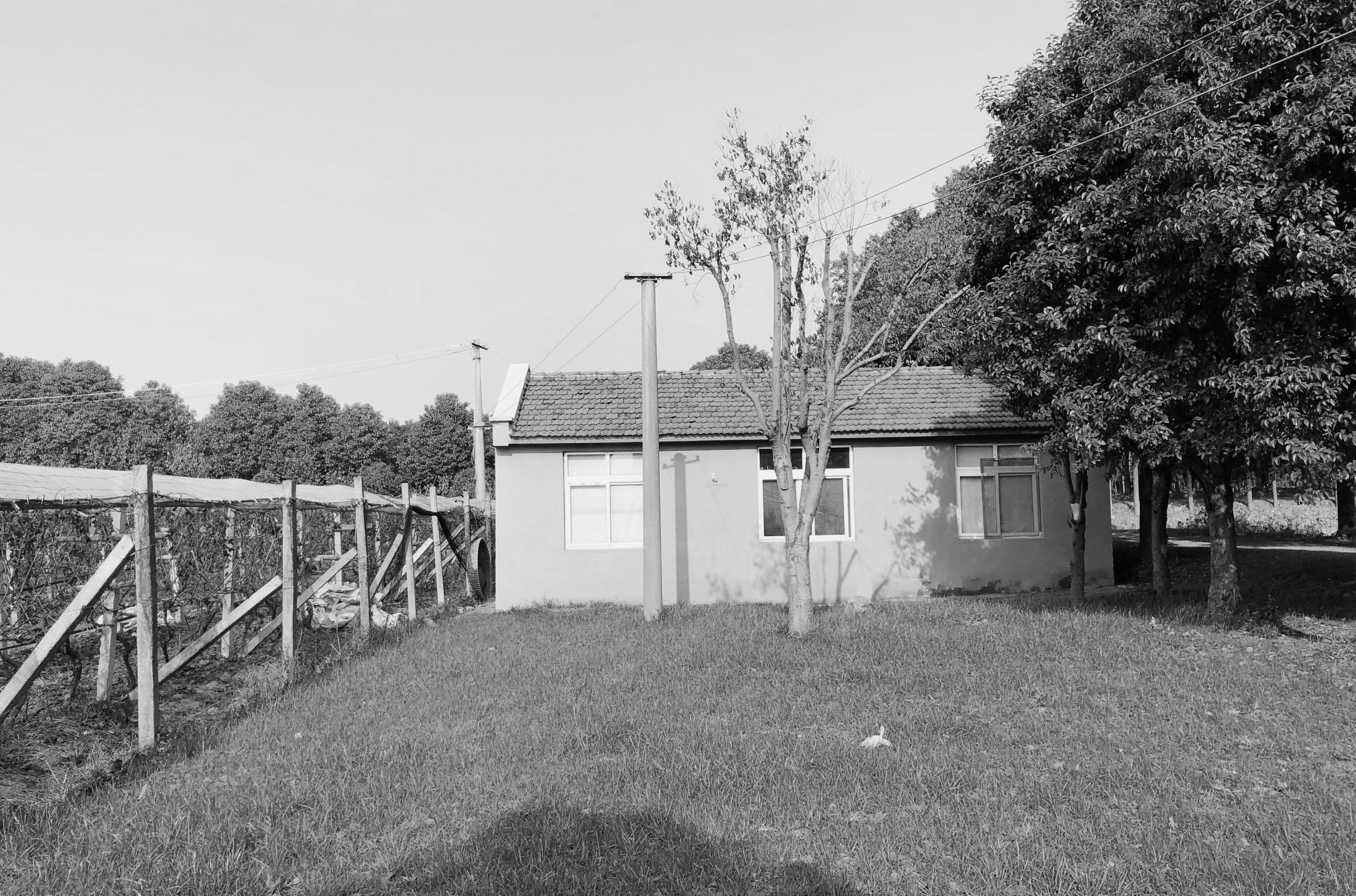 骑行者之家·郊野公园里的PARK CYCLING自行车社群基地丨中国上海-13