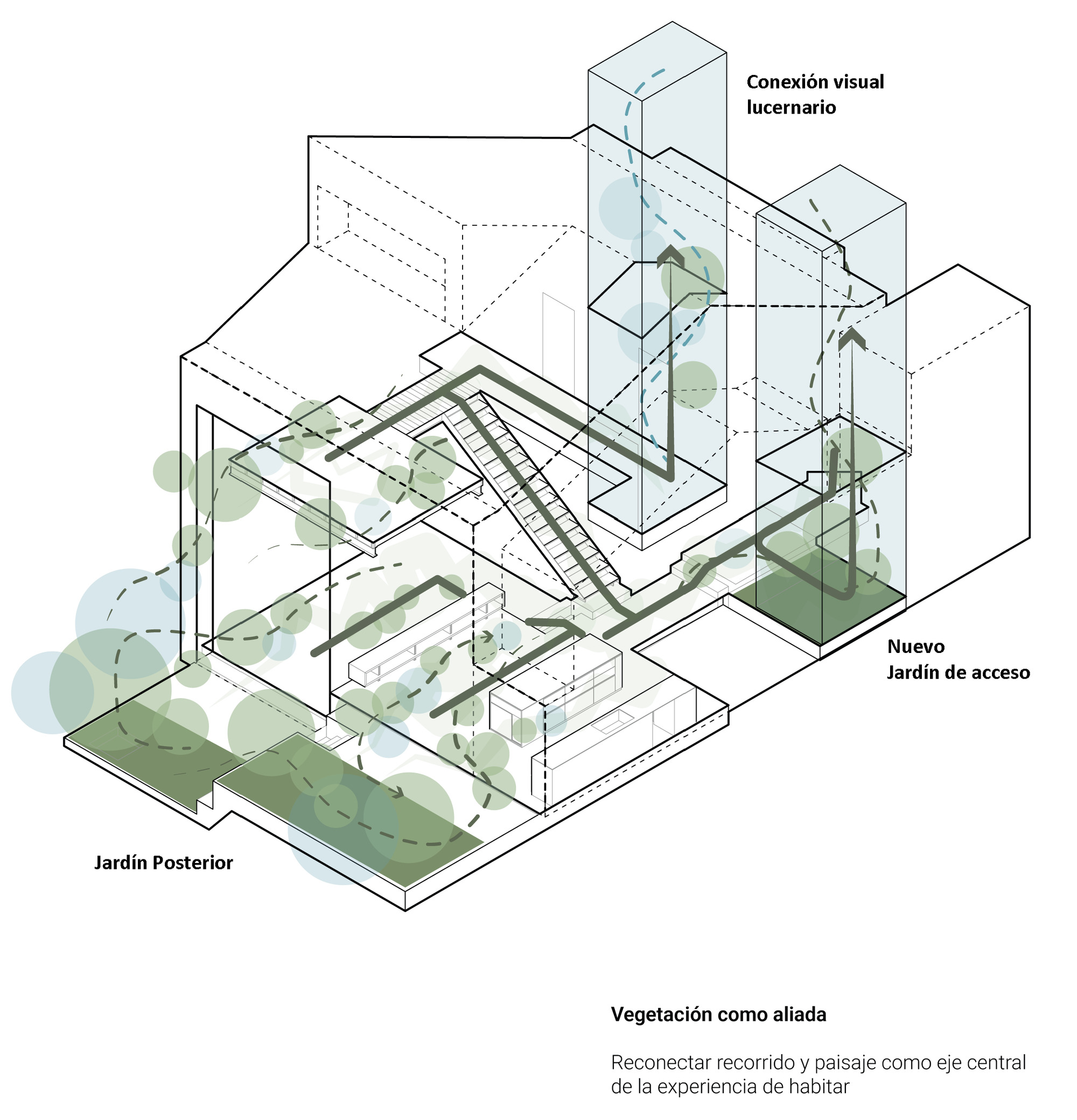 Casa P· Colina 住宅项目丨哥伦比亚丨DARP  De Arquitectura y Paisaje-46