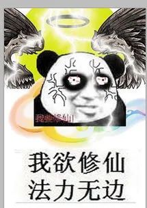 恒大 10 万人足球场“大莲花”设计,凸显中国风-57