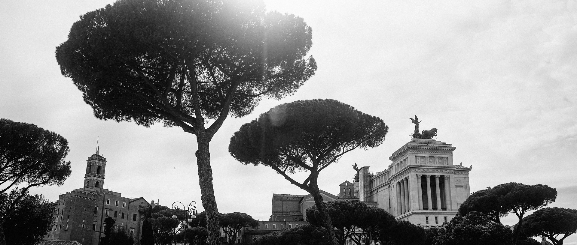 未命名丨Alexander Rentsch-104