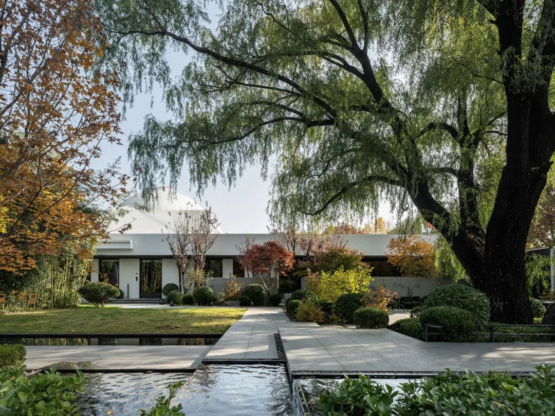 Wanwea·元餐厅山海经后饕餮宴丨TANZO 天作空间-2