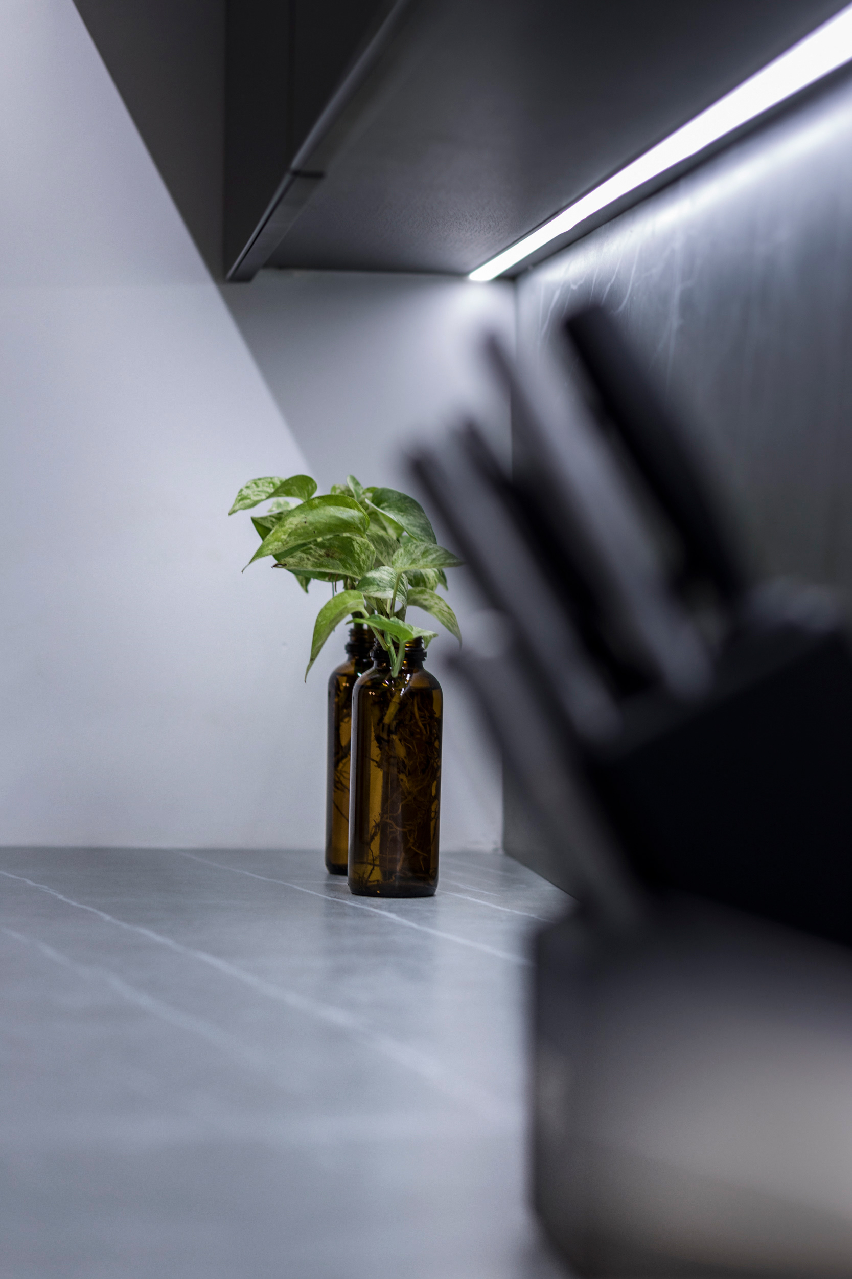 博斯凯托之家 3 号 曼陀罗丨哥伦比亚-12